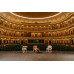 Стілець Chair Gropius CS1 Artistry Edition