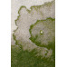 Ковер Glitch Green ShishkaProject