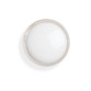 Previous