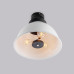 Стельова люстра schoolhouse style D390 white Стельова люстра schoolhouse style D390 white