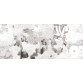 Previous