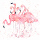 Previous