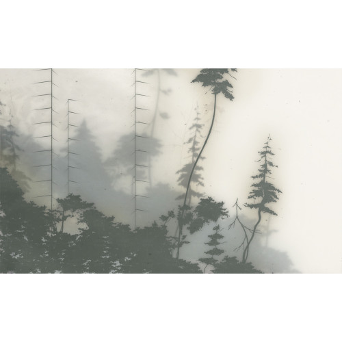 Бесшовные фотообои New Guinea